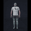 Blending in and out of standing, crouched, and prone stances - preview gif