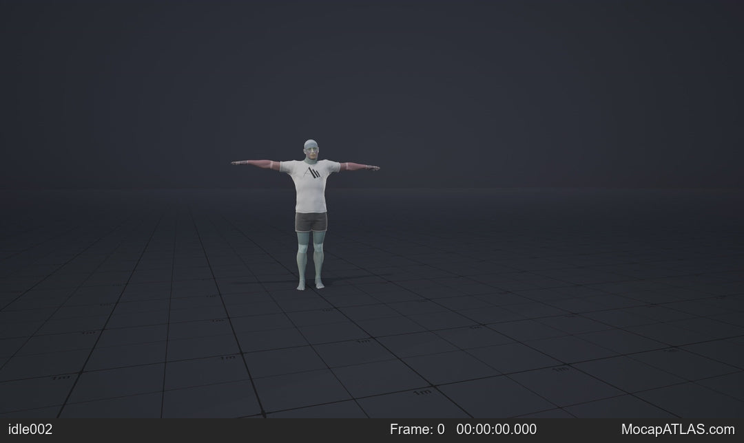 Standing idle with the shoulder lift. Weight shift on one leg. Weight shift on the other leg. Looking around. Hands...